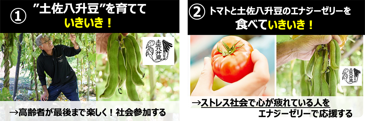 05.png